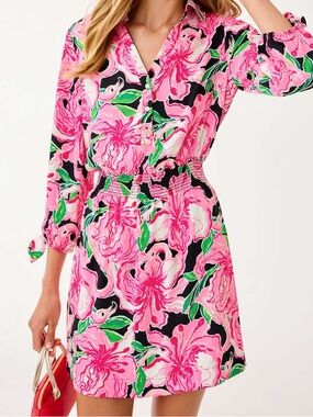 Lilly Pulitzer Abralynn Shirtdress
